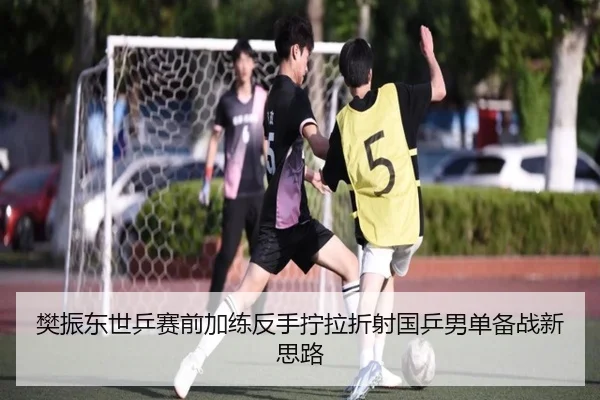 樊振东世乒赛前加练反手拧拉折射国乒男单备战新思路